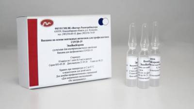 «Вектор» заявил о высокой эффективности вакцины «ЭпиВакКорона» при борьбе с COVID-19
