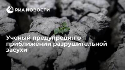 Ученый Глейк: изменение климата приведет к разрушительной засухе в ближайшие годы