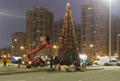 Новый год близко: в Петербурге замечена первая праздничная елка