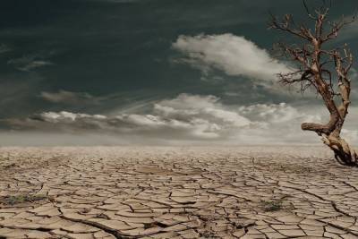 Ученый рассказал о приближении разрушительной засухи