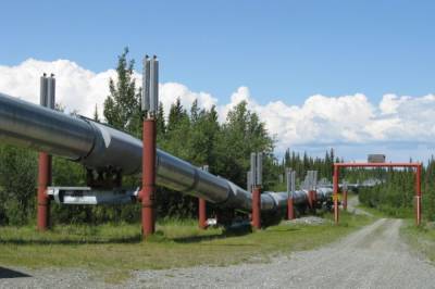 Возобновились прямые поставки газа по трубопроводу Ямал - Европа