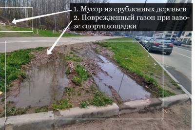 Жители Кудрово не рады новому скверу «Березовая роща»
