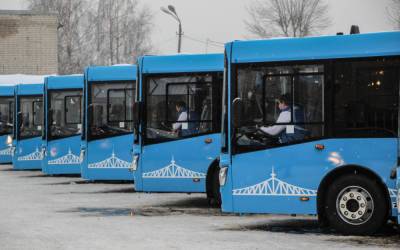 Несколько автобусов в Твери временно изменят свои маршруты