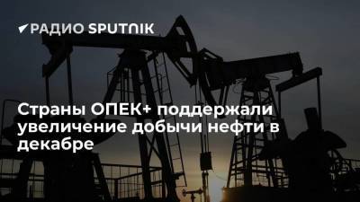 Страны ОПЕК+ выступили за продление плана нефтедобычи на декабрь