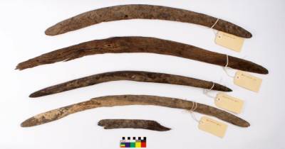 В Австралии обнаружили древние бумеранги, которые использовались не по назначению (фото)