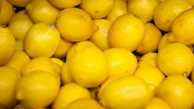Ввоз лимонов из Турции в Россию запретили