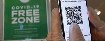 В Казани антиваксеры у входа в ТЦ «Тандем» отменили QR-коды