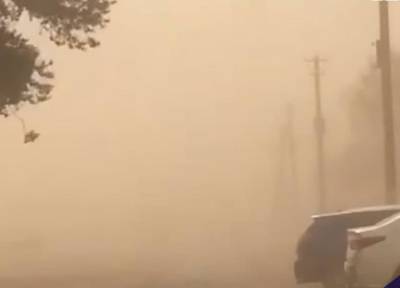 В Узбекистане зафиксирована пыльно-песчаная мгла. Количество пыли в атмосферном воздухе превысило норму в 5 раз