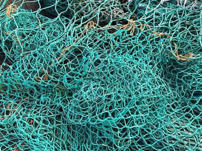 28 лесковых сетей, запрещенных при любительском лове рыбы, изъяли сотрудники инспекции охраны животного и растительного мира у одного из жителей Лидского района