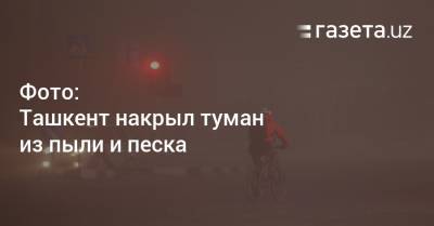 Фото: Ташкент накрыл туман из пыли и песка