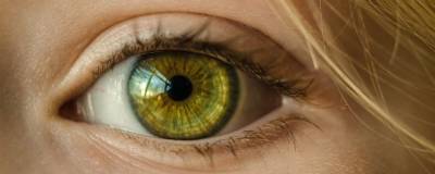 Ученые Медколледжа Юты открыли новый тип нейронов в сетчатке глаза