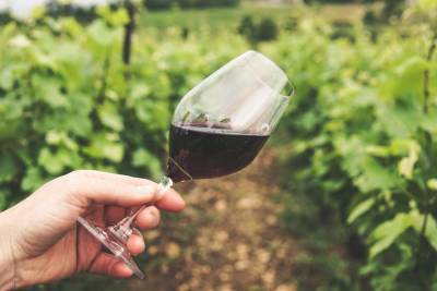 В мире ожидают крайне низкого производства вина в 2021 году