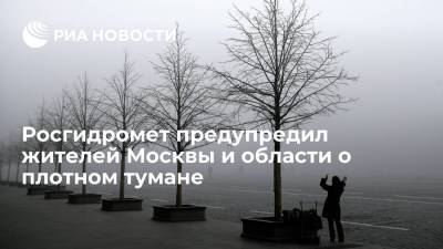Росгидромет предупредил жителей Москвы и области о плотном тумане в ночное время суток