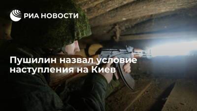 Глава ДНР Пушилин назвал условие для наступления на Киев