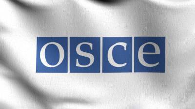Нарушения прав человека в Беларуси: ОБСЕ задействует Венский механизм