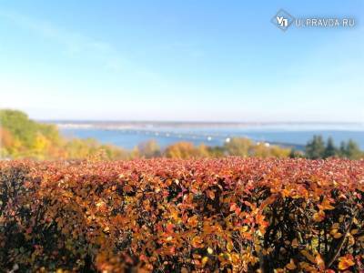 Южный ветер и до +9 тепла. Погода в Ульяновской области 5 ноября