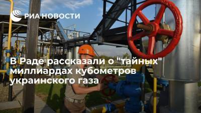 Депутат Рады Дмитрук заявил о наличии миллиардов кубометров неучтенного украинского газа