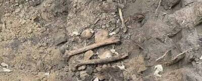 В центре Тюмени рабочие во время строительных работ обнаружили человеческие кости
