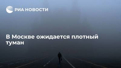 Власти Москвы предупредили жителей столицы о плотном тумане в ночное время суток