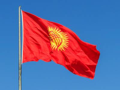 Киргизия направила ноту в МИД России в связи с избиением гражданина страны