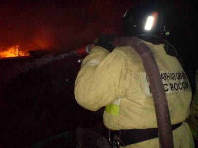 На пожаре в Сасовском районе пострадали двое человек