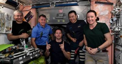 Запуск миссии Crew Dragon-3 к МКС перенесли: названа причина