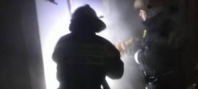 Пожарные успели спасти жилые дома от огня с загоревшейся бани в Карелии (ВИДЕО)