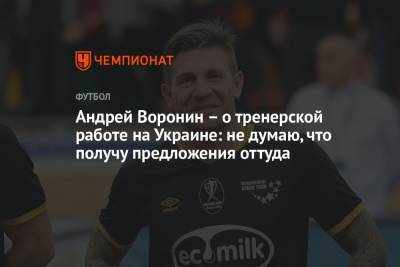 Андрей Воронин – о тренерской работе на Украине: не думаю, что получу предложения оттуда