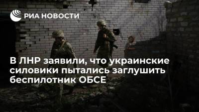 В ЛНР заявили, что украинские силовики пытались заглушить беспилотник ОБСЕ в Донбассе
