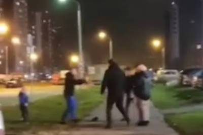 Полиция проверит видео с нападением кавказцев на отца с ребенком в Новой Москве