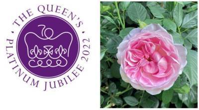 Елизавета II - королева Виктория - Ii (Ii) - Елизавета Вторая выбрала розу в честь своего платинового юбилея - skuke.net - Англия