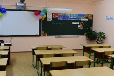 Школы Петербурга возобновят работу в очном режиме