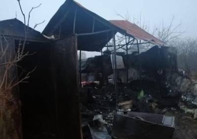 На пожаре в Спасском районе погиб 61-летний дачник из Рязани - ya62.ru - Рязань - район Спасский