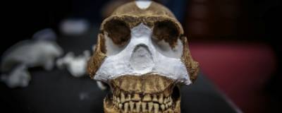 Гоминины человеческого вида Homo naledi хоронили своих мертвецов