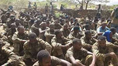 Войска Эфиопии разбегаются: личный состав сил специального назначения переходит на сторону Тыграя