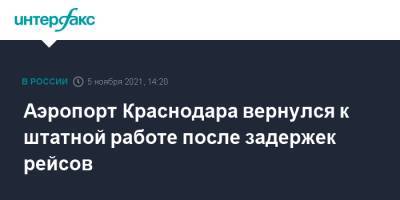 Аэропорт Краснодара вернулся к штатной работе после задержек рейсов