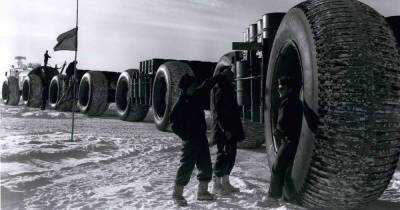 «Ледяной червь»: что может оттаять в Гренландии из-за военных опытов