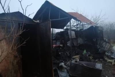 При пожаре под Спасском погиб 61-летний дачник