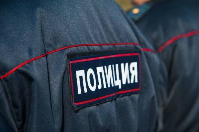 Почти килограммовый сверток с наркотиками обнаружили в лесополосе Ломоносовского района