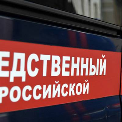 СК проводит проверку после нападения на мужчину с ребенком в Новой Москве