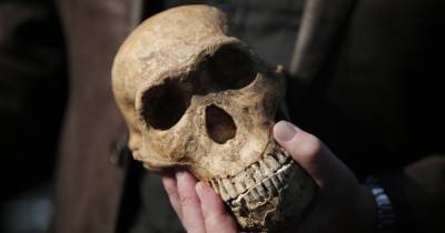 Совсем один в пещере. Палеонтологи нашли первый в истории череп 4-летнего ребенка Homo naledi (фото)