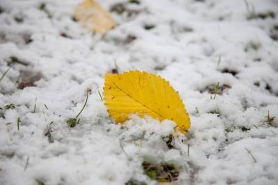 Снежная крупа, гололед и ветер до 15 м/с — погода в Ленобласти на 6 ноября