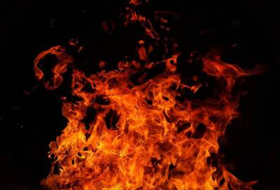 В Гатчинском районе минувшей ночью загорелся частный дом