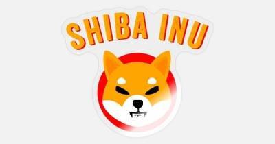 Shiba Inu продолжает падение: поклонники мемной монеты обратились к Безосу