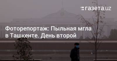 Фоторепортаж: Пыльная мгла в Ташкенте. День второй