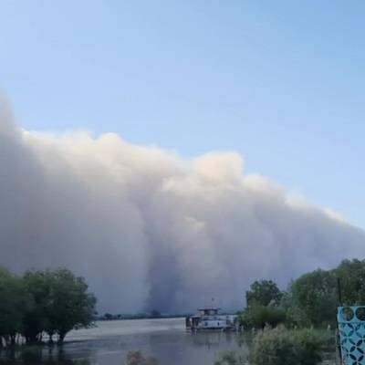 Пыльная буря, накрывшая Узбекистан, достигла юга Казахстана
