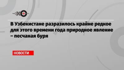 В Узбекистане разразилось крайне редкое для этого времени года природное явление – песчаная буря