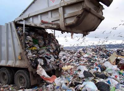 Экоактивисты расследуют мусорный коллапс в Ленинградской области