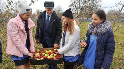 Если за школами закрепят яблоневые сады, что получится? Рассказываем на примере