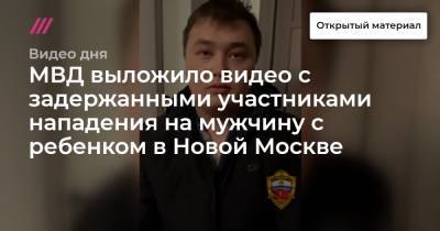 МВД выложило видео с задержанными участниками нападения на мужчину с ребенком в Новой Москве